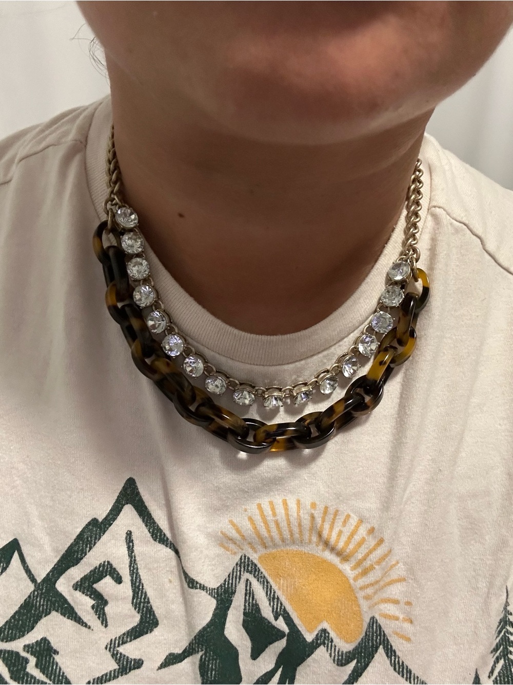 Jcrew Layered Necklace with Tortoiseshell and Earrings